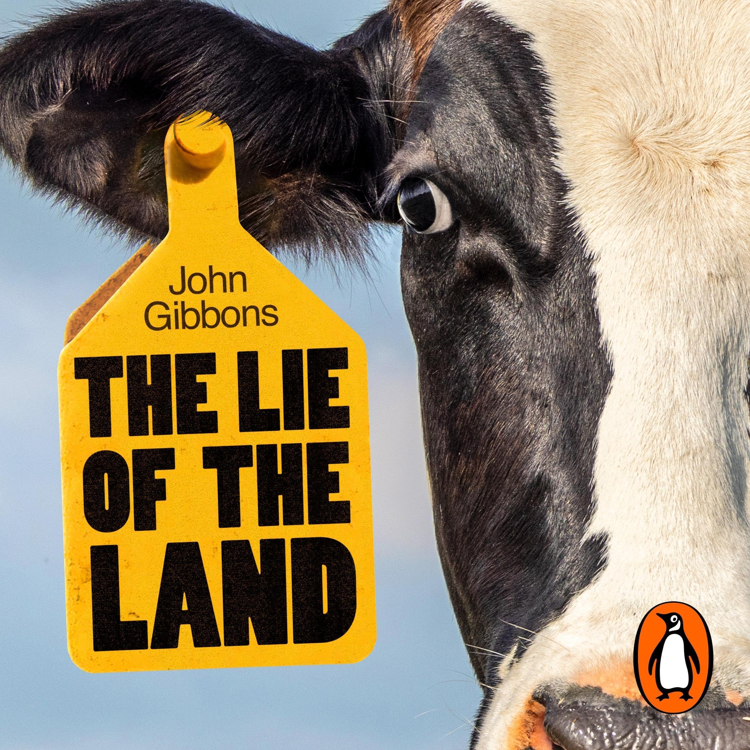 The Lie of the Land