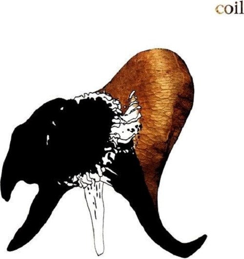 Black Antlers