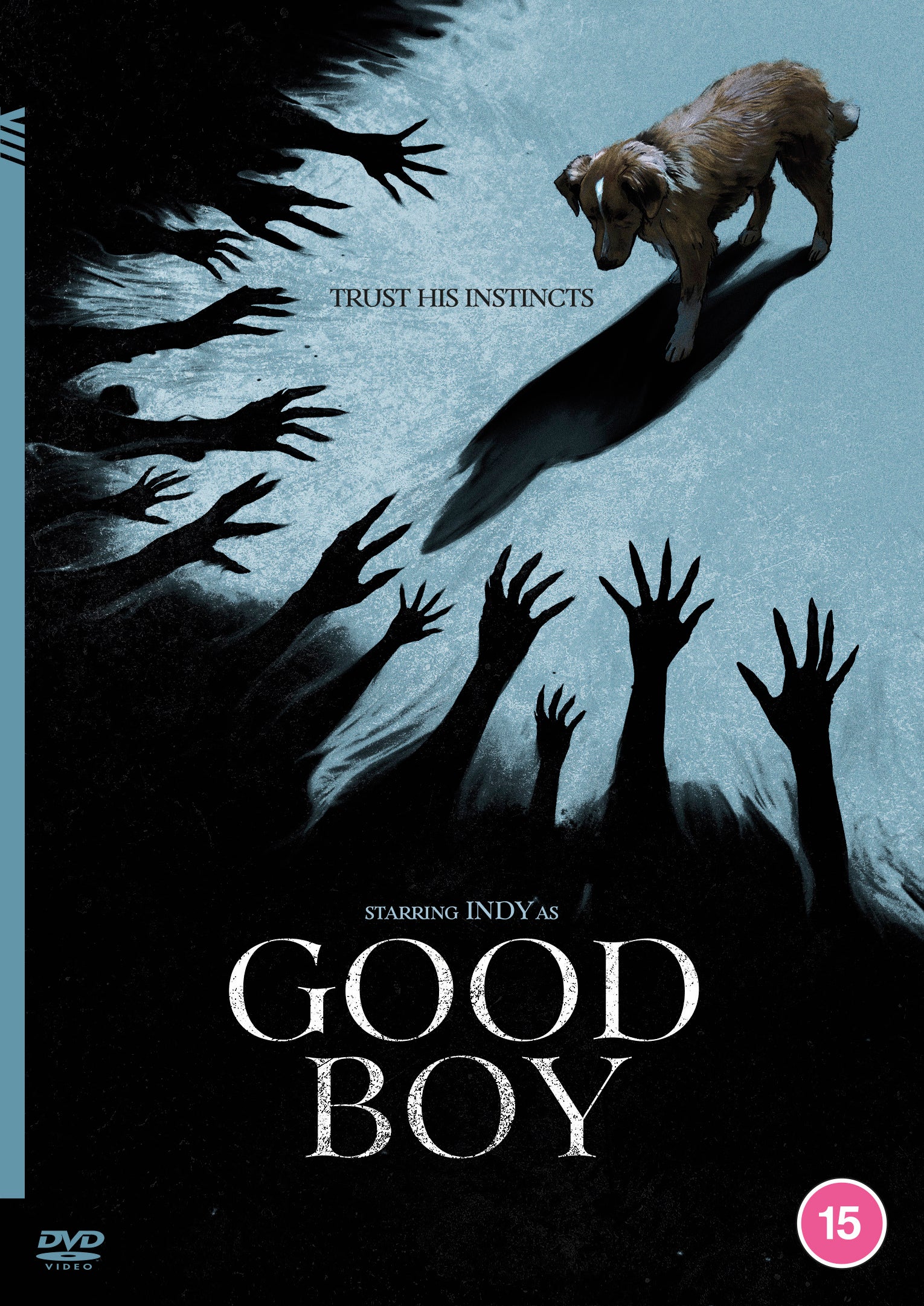 Good Boy