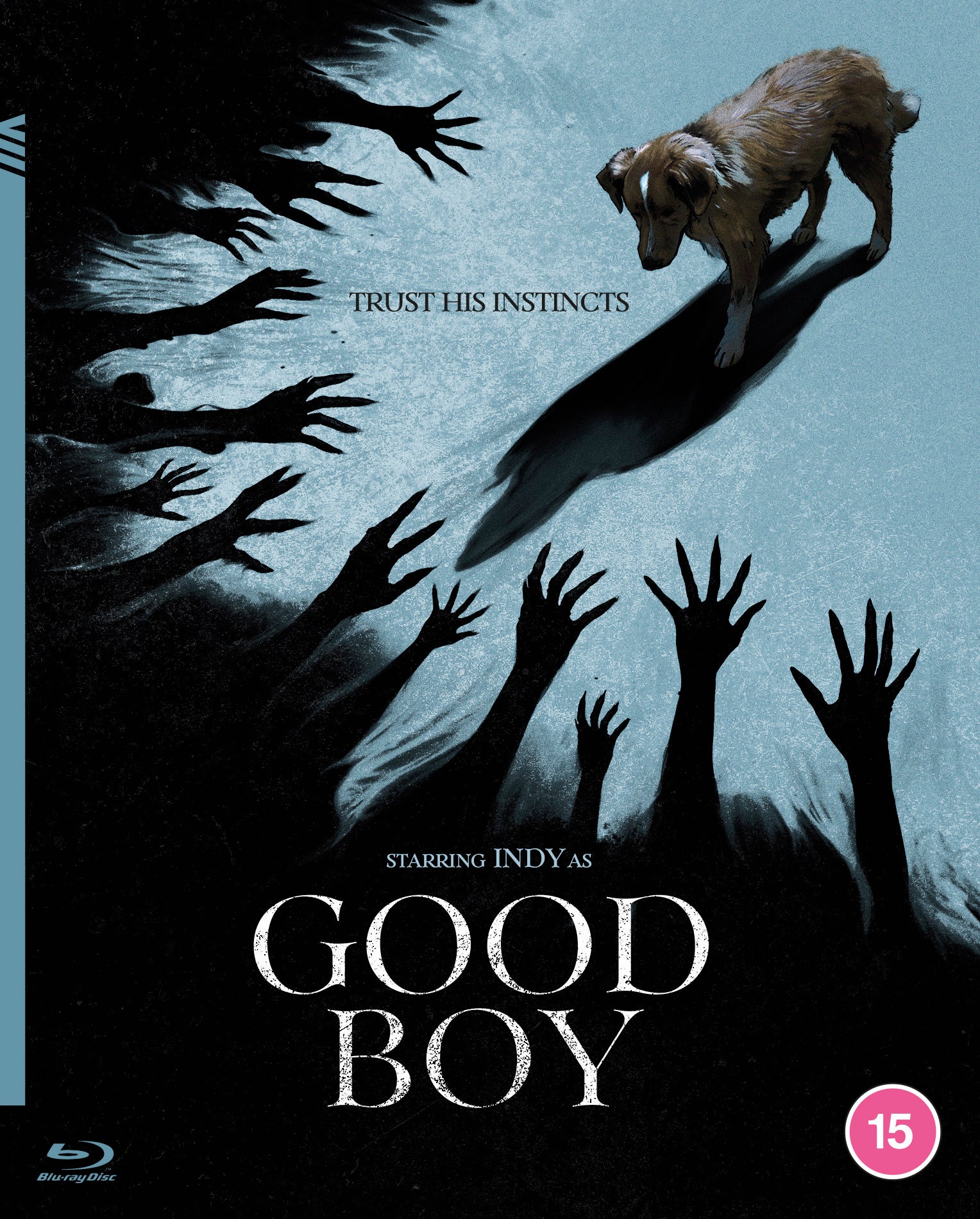 Good Boy