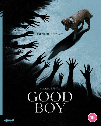 Good Boy