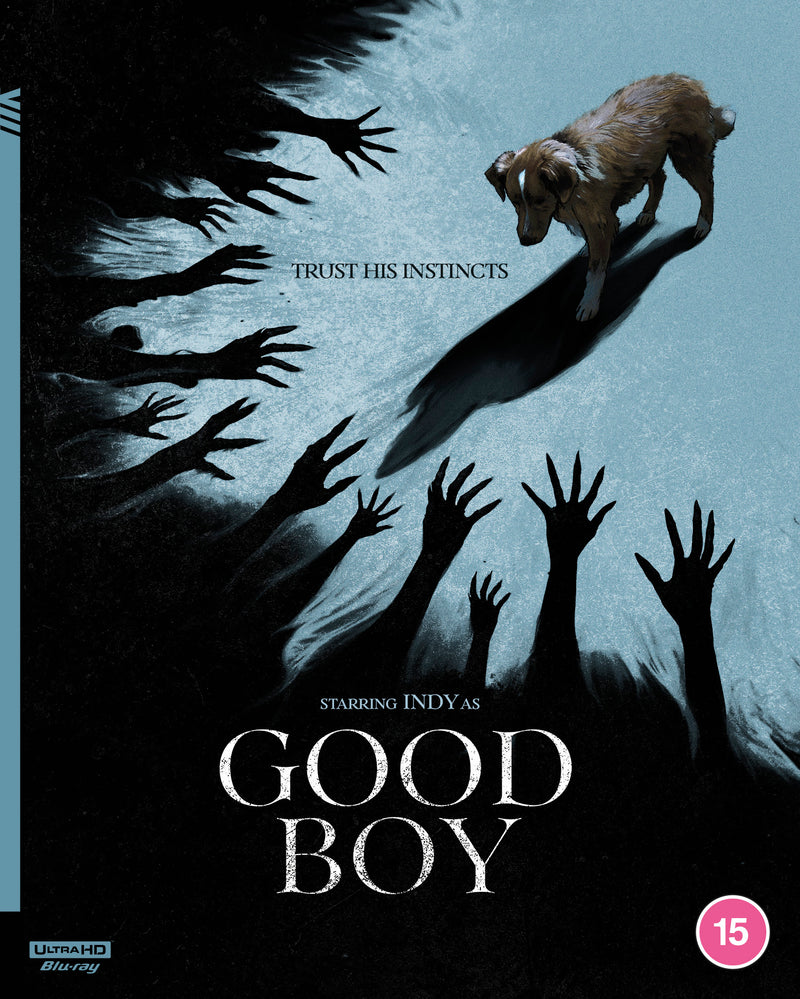 Good Boy
