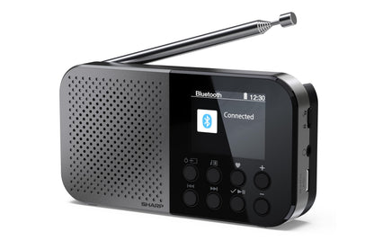 Radio Digitale Osaka Portatile