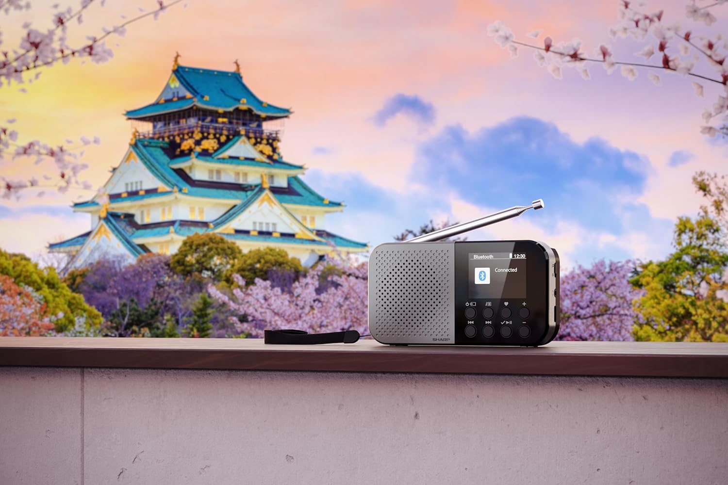Radio Digitale Osaka Portatile