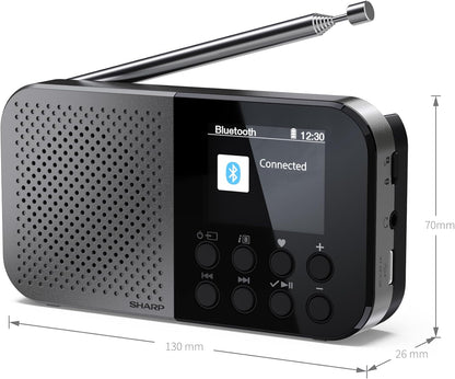Radio Digitale Osaka Portatile