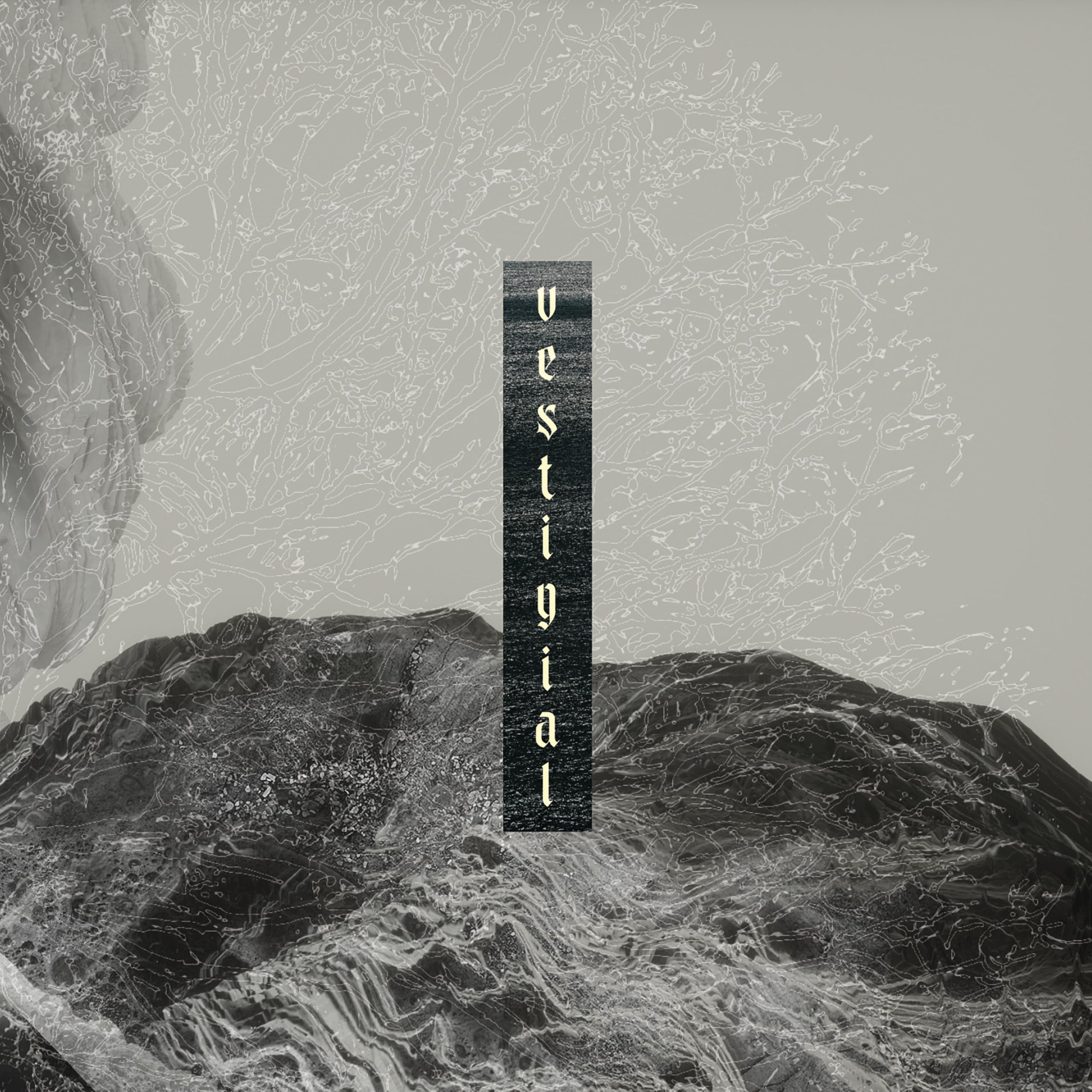 Audio Cd Vestigial - Descending Vastness