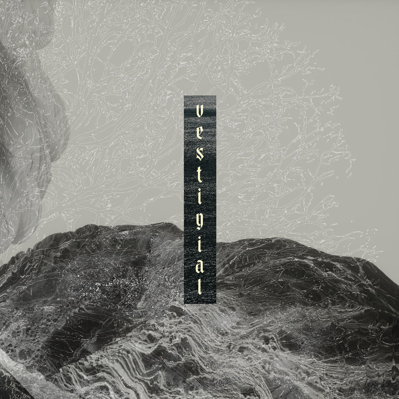 Audio Cd Vestigial - Descending Vastness
