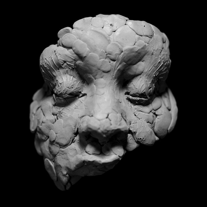 OBSERVATIONS from a CROWDED ROOM