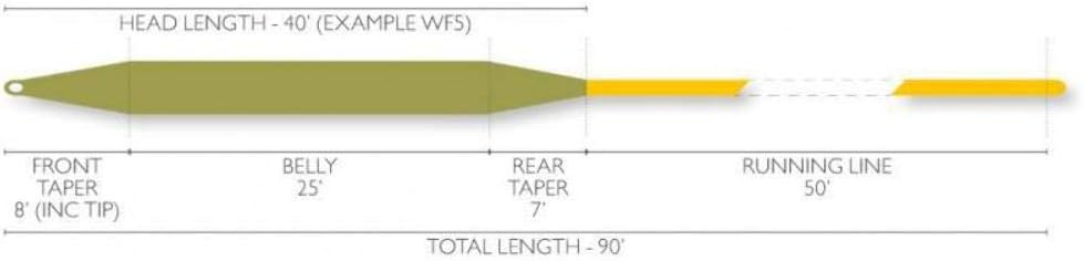 Forge Floating Fly Line - WF3F