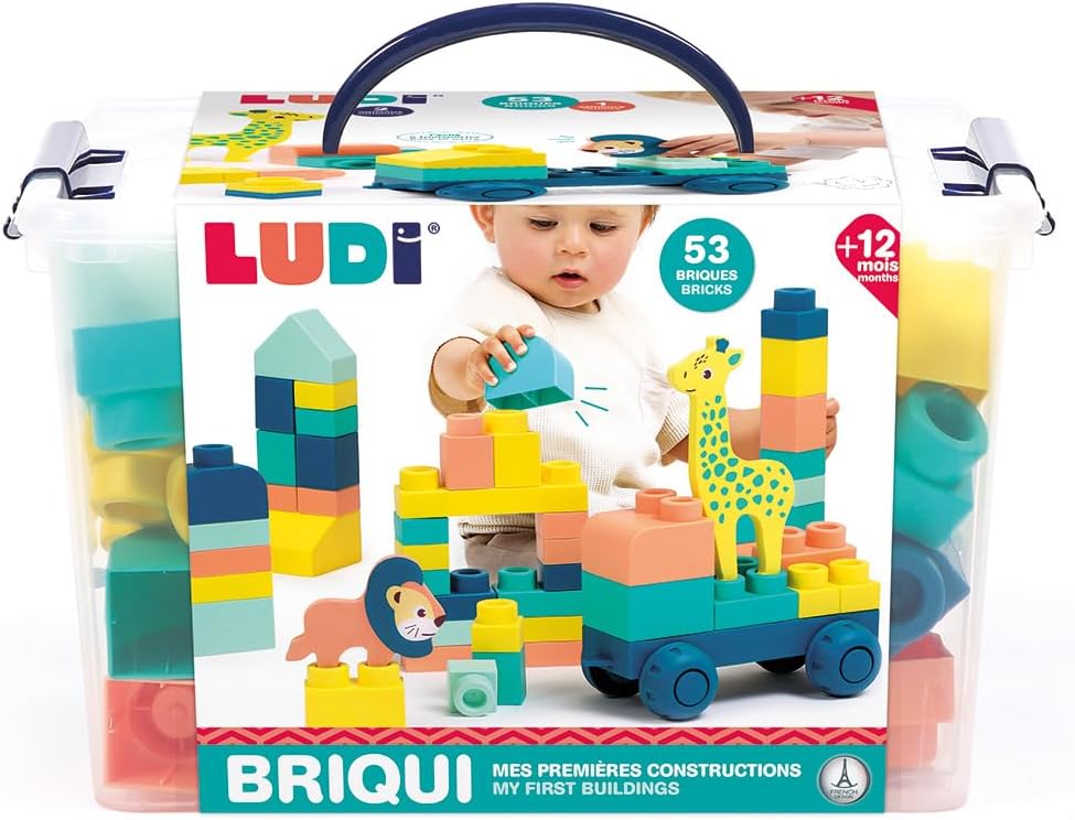 LUDI Briqui