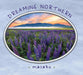 Dreaming Northern