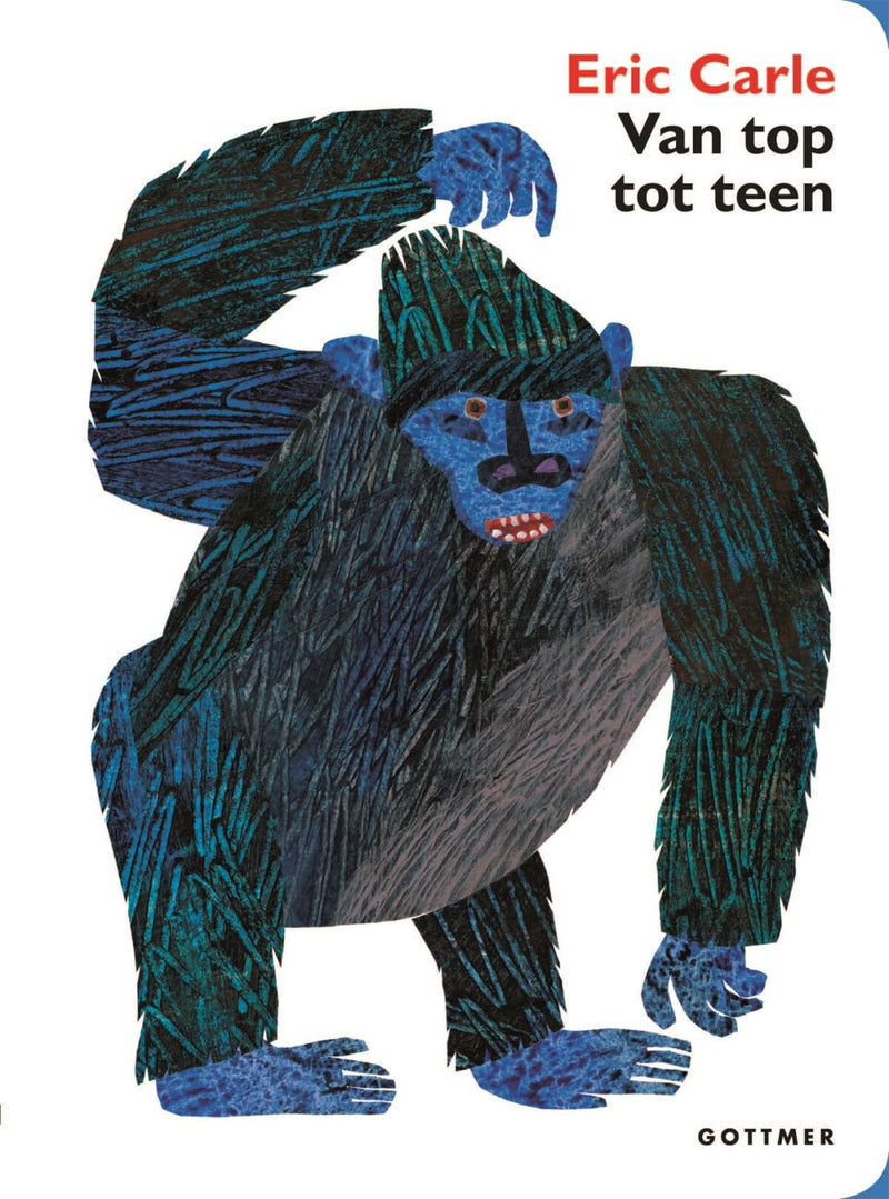 Gottmer Uitgevers Groep - Kartonboekje Van top tot teen