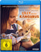 Lilly und die Kängurus (Blu-ray