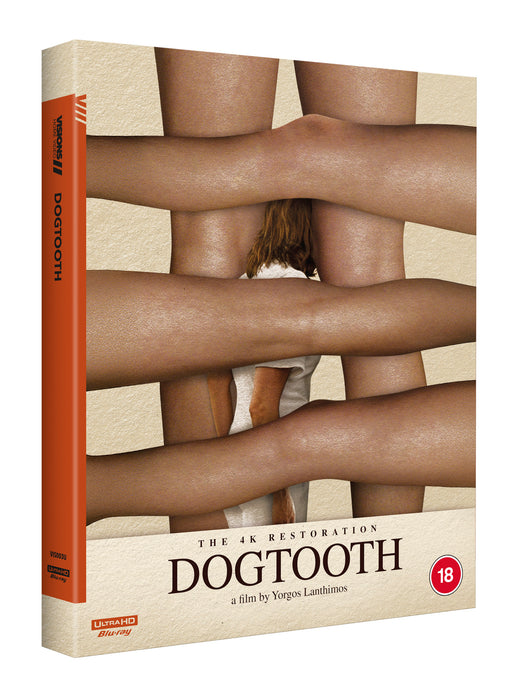 Dogtooth