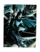 Kristall Batman Watcher Glas Poster DC Universe Offizielle Merchandising Ornamente Aufkleber Home Decor Mehrfarbig (Mehrfarbig), einzigartig