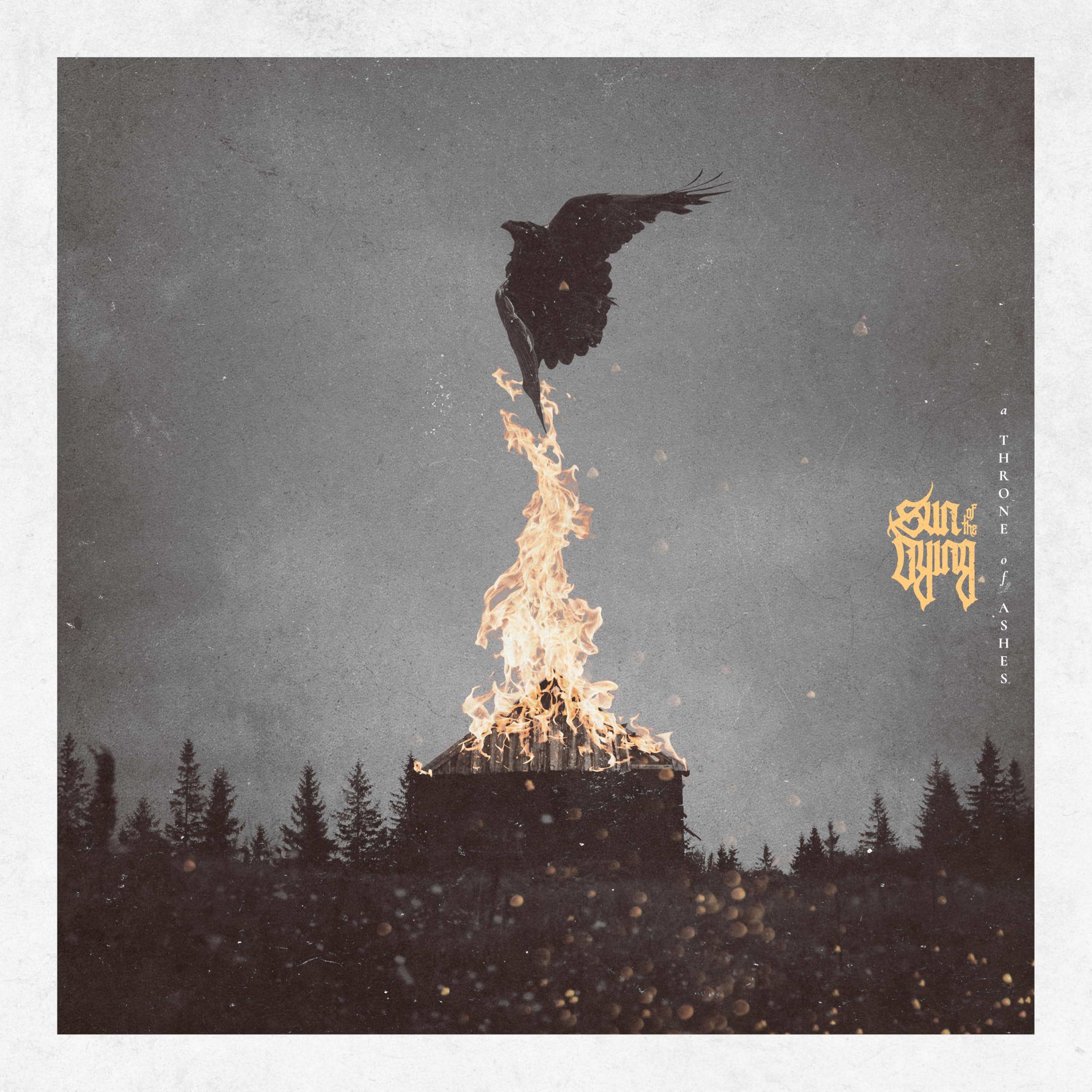 A Throne of Ashes
