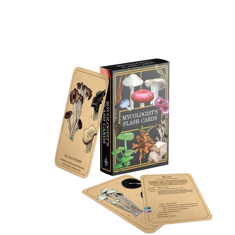Ultimate Guard: Portfolio – XenoSkin Zipfolio 360 – MTG: Lorwyn Eclipsed – Plains