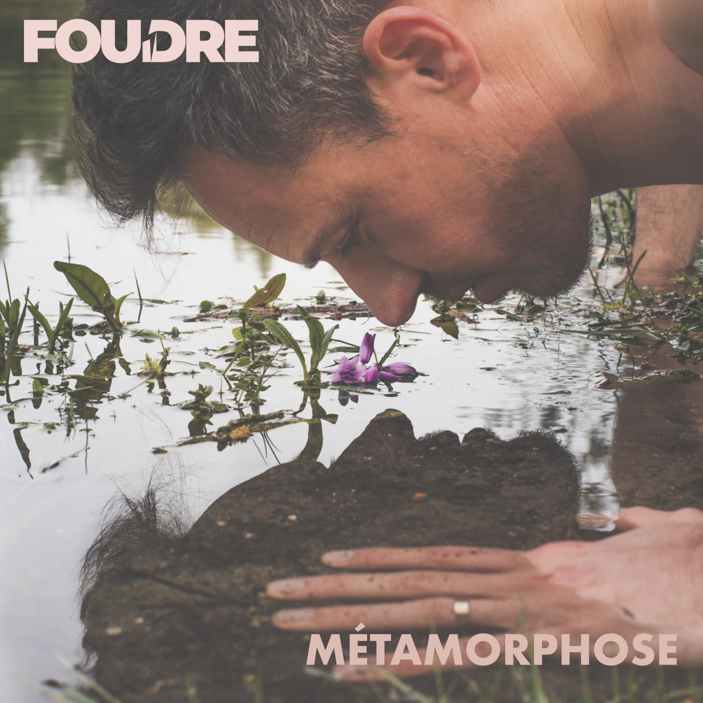 M?Tamorphose