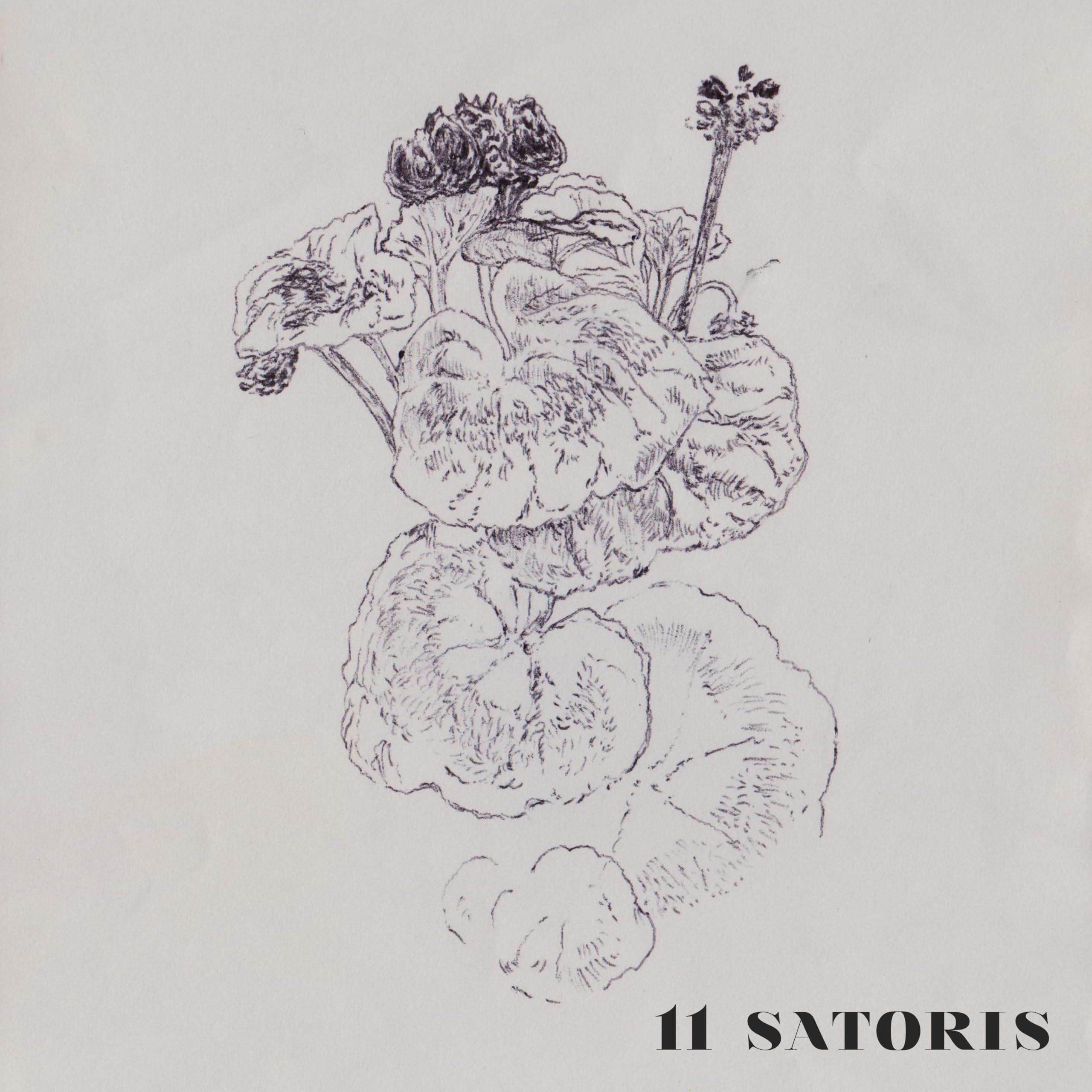 11 Satoris