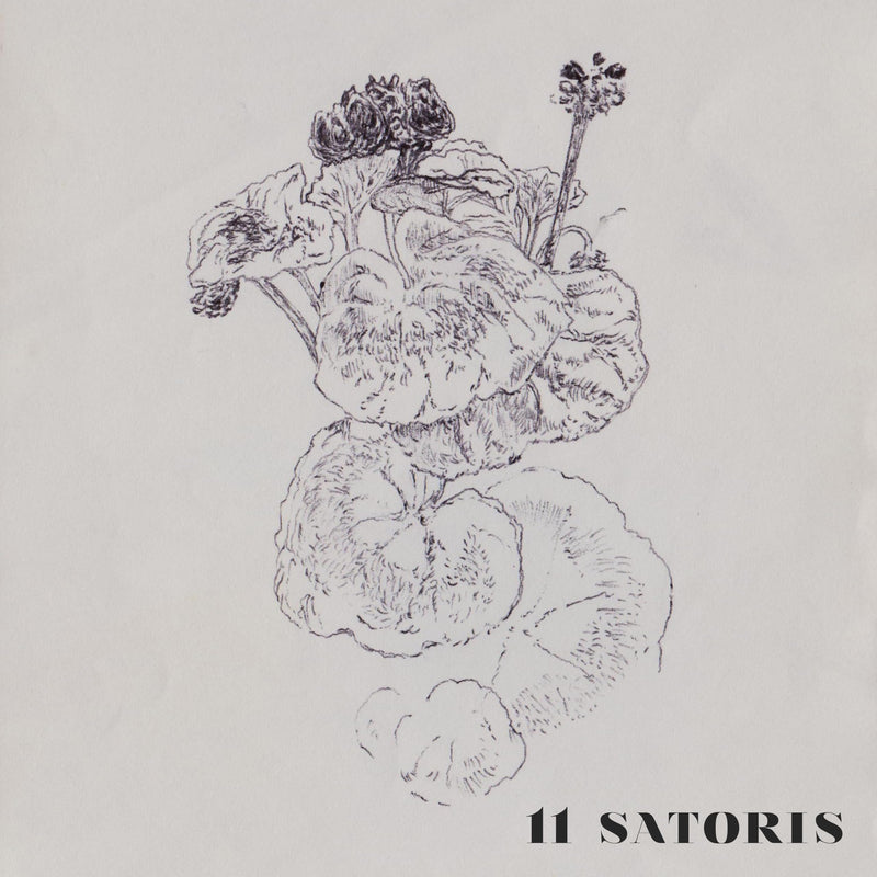 11 Satoris