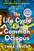 The Life Cycle of the Common Octopus: A Read With Jenna Pick