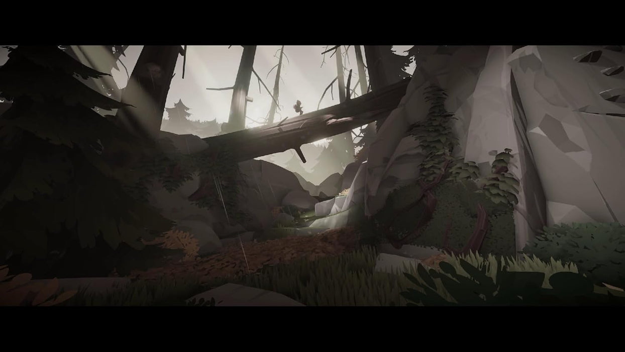 Deer & Boy (Nintendo Switch