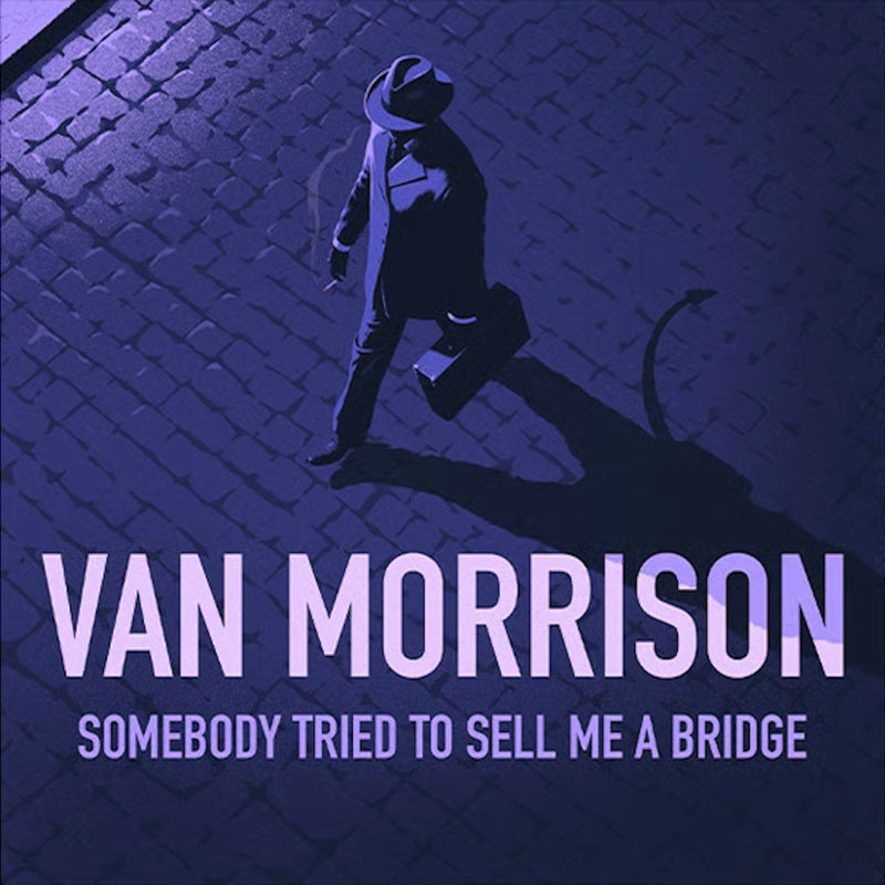 Somebody Tried to Sell Me a Bridge