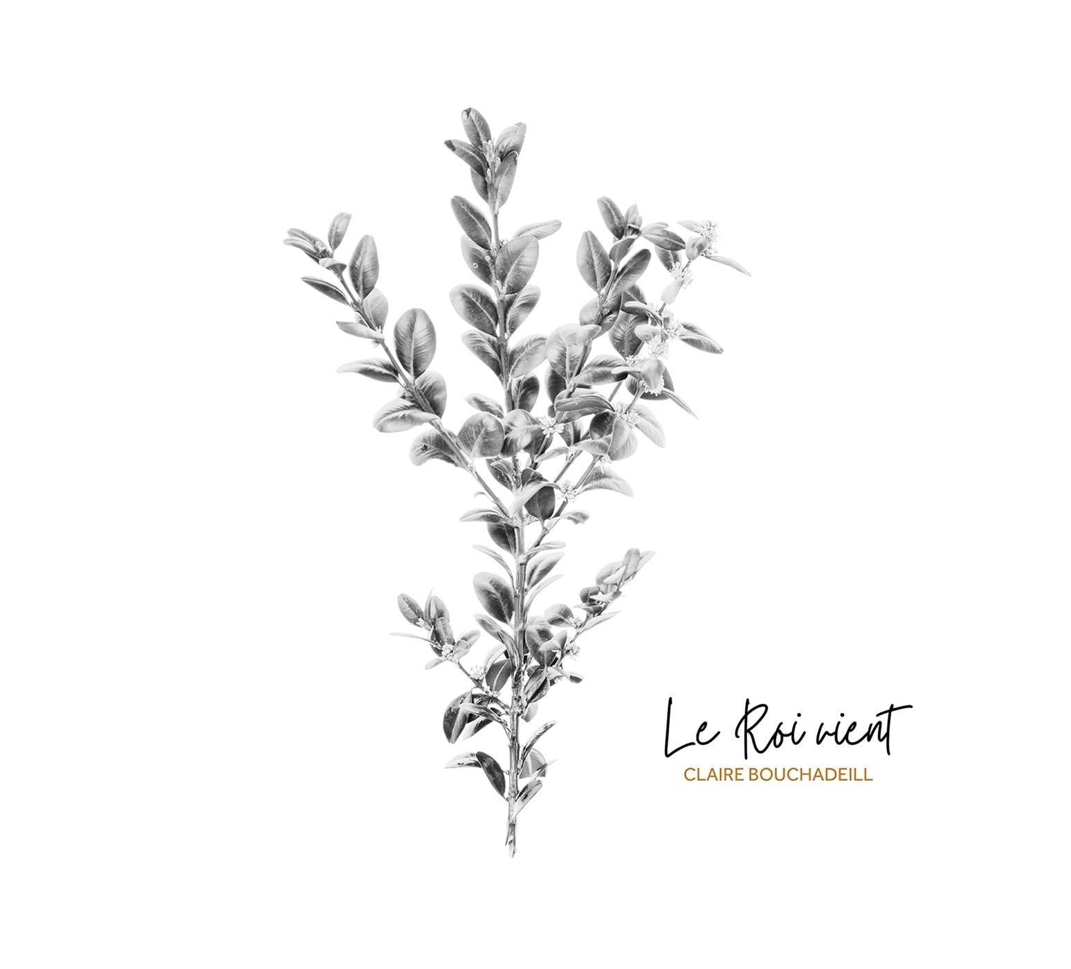 Le Roi vient