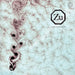 Ferrum Sidereum