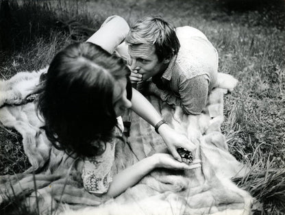 Ein großer graublauer Vogel - Zweitausendeins Edition Deutscher Film 4/1969