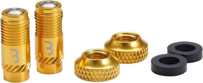 BBB Cycling CoreCap Universal Valve Upgrade Set - 300% More Airflow - High Volume Presta to Schrader Converter - Suitable for All Pumps - 2 Pack - Gold - BTI-165
