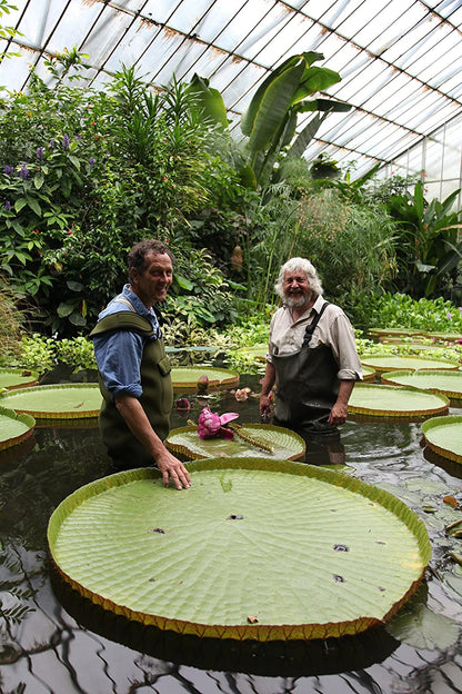 Monty Don: The Secret History Of The British Garden