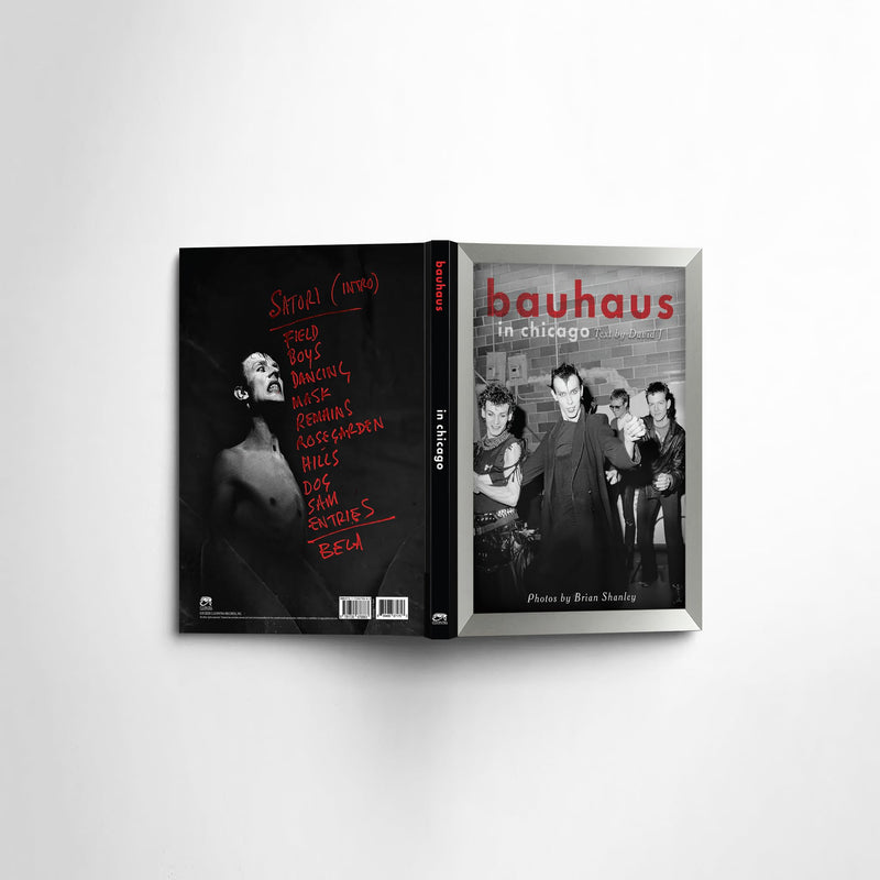 Bauhaus in Chicago