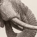 World Elephant Day