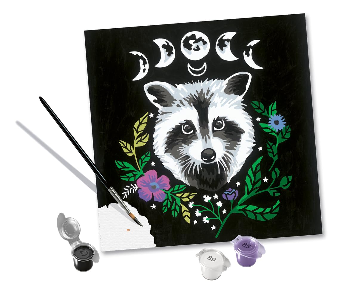 Schilderen Op Nummer - Pixie Cold Edition Raccoon