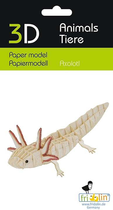3D Paper Model - Axolotl