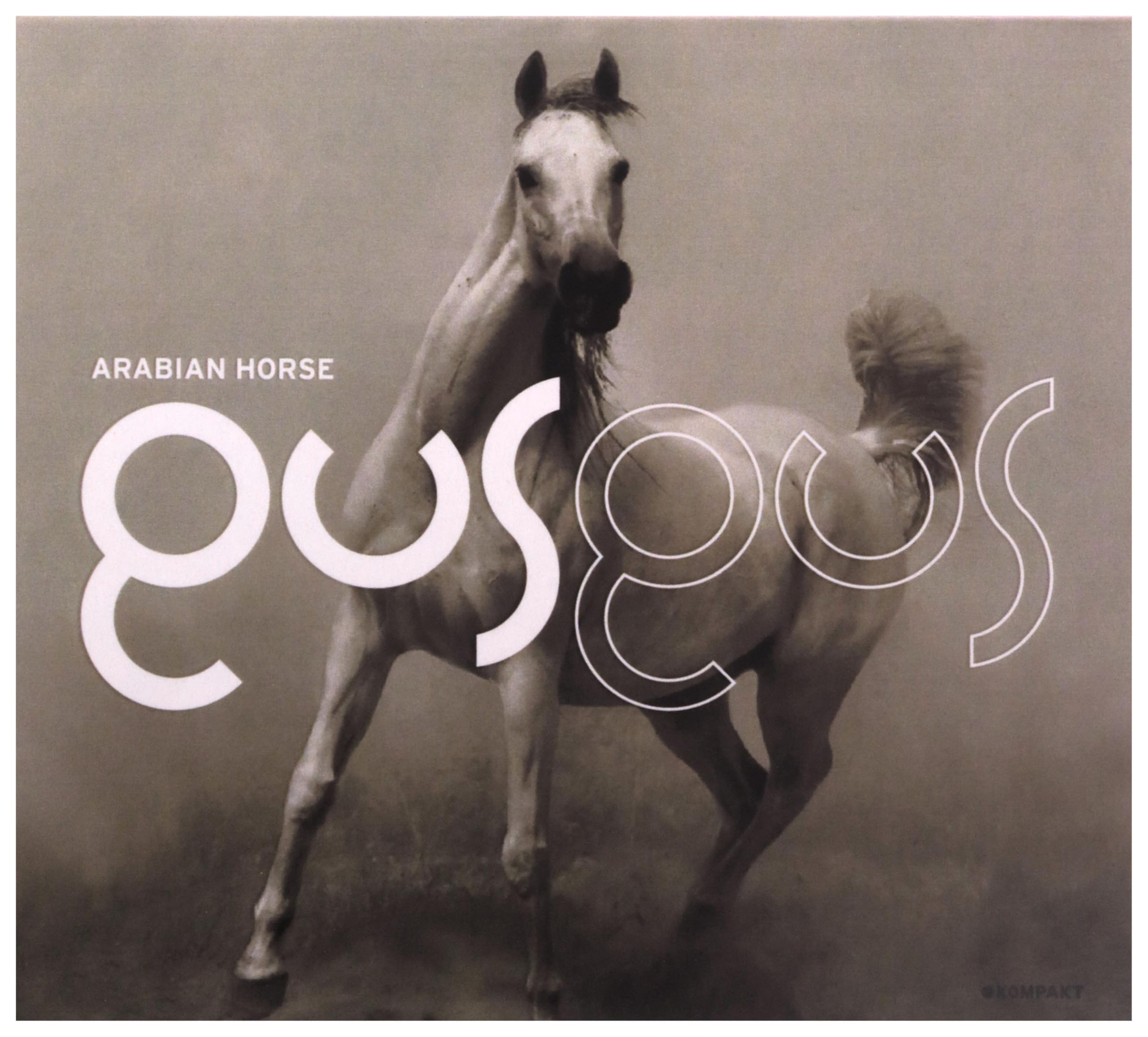 Gus Gus: Arabian Horse