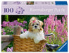 Ravensburger 100 Piece Extra Large Jigsaw Puzzle with Board & Poster – Feel Well & Puzzle range, Sweet Little Dog in Bicycle Basket – Kids & Adults, Dog Lovers Gift