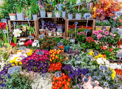 Ravensburger Puzzle da 500 pezzi per adulti con mercato dei fiori, Francia