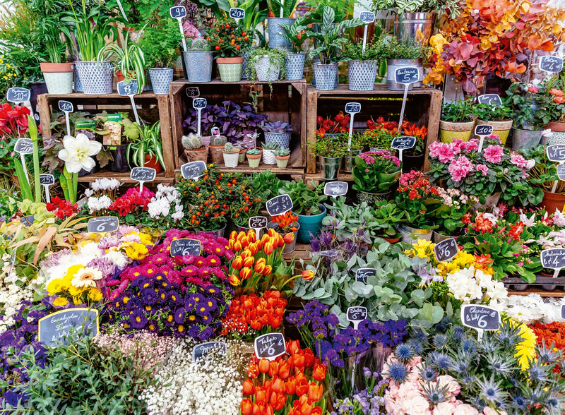 Ravensburger Puzzle da 500 pezzi per adulti con mercato dei fiori, Francia