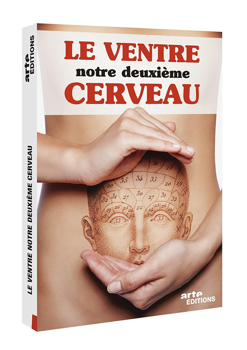 Le ventre, notre deuxième cerveau