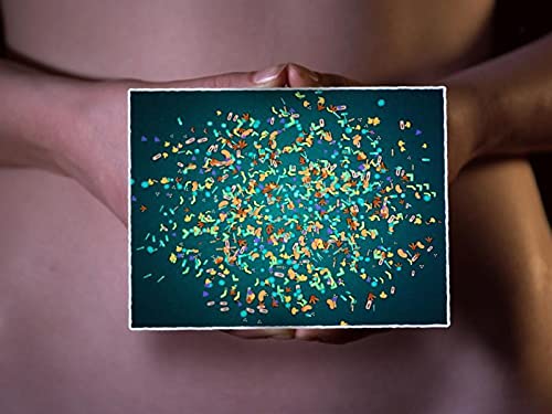 Microbiote : les fabuleux pouvoirs du ventre