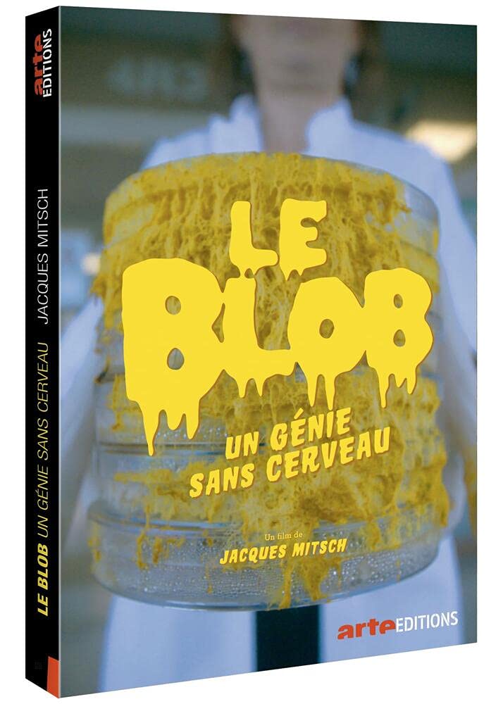 Le Blob Un Genie Sans Cerveau