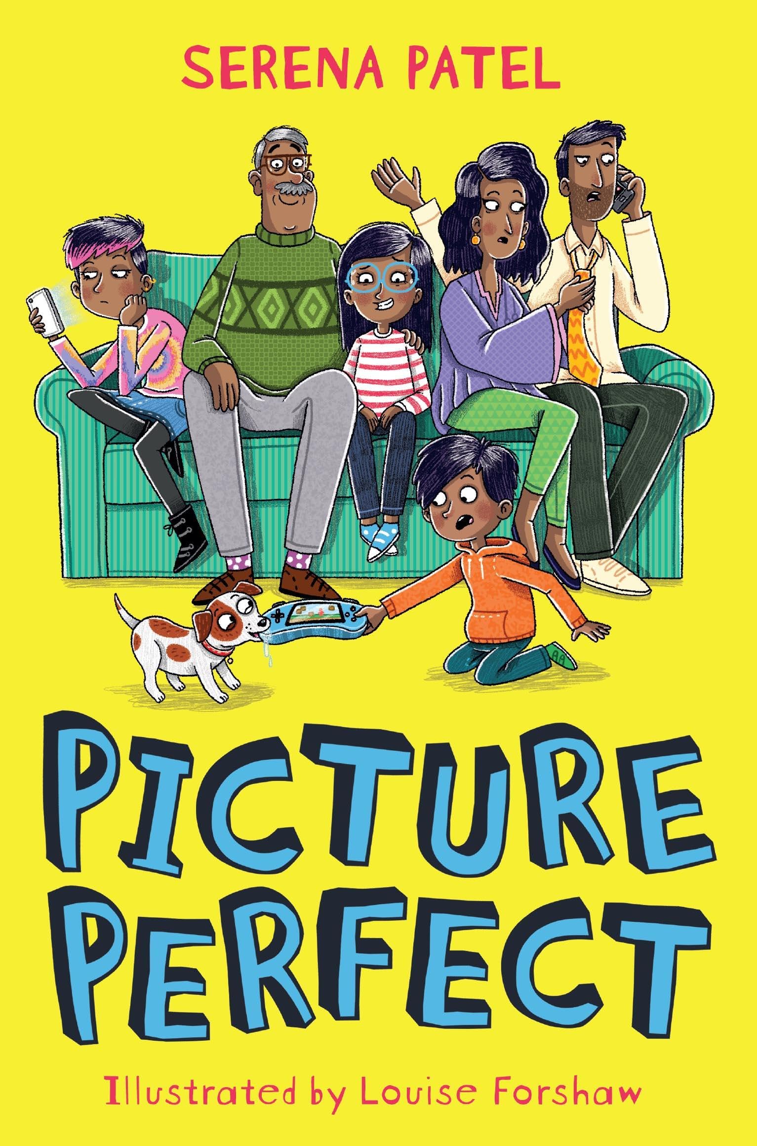 Picture Perfect (Everyone Can Be a Reader (Middle Grade C