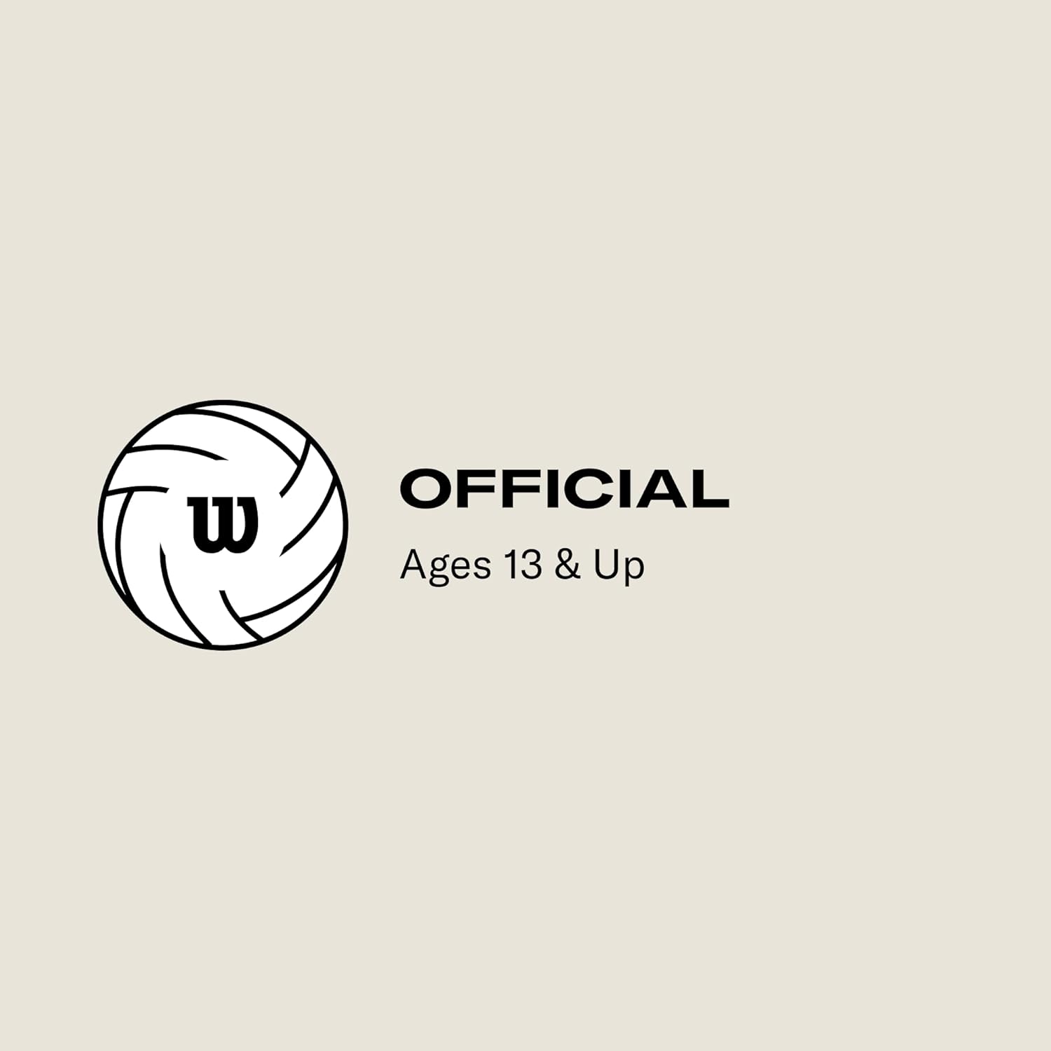 WILSON Pro Tour Indoor Volleyballs - Official Size