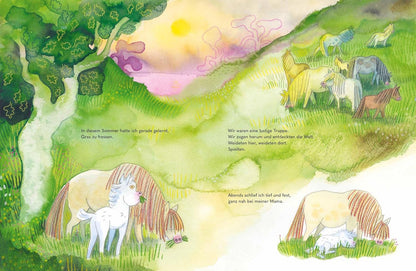 Wild - Ein kleines Pferd braucht Freiheit: Eine Pferdegeschichte über Mut und starke Gefühle | Bilderbuch für Kinder ab 4