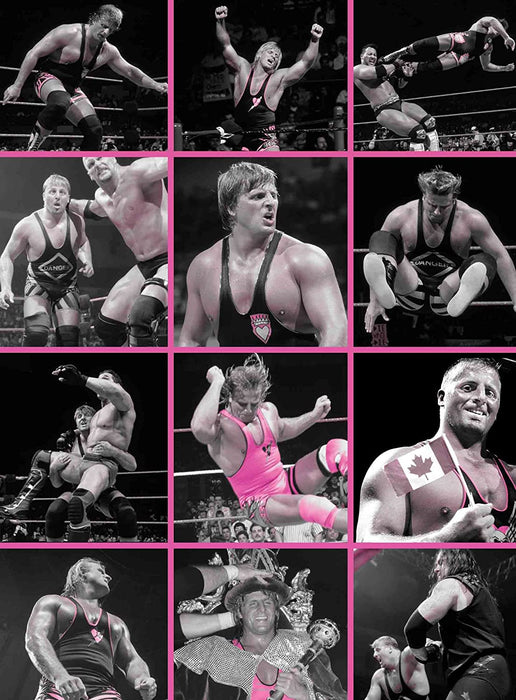 WWE: Owen - Hart Of Gold