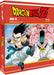 Dragon Ball Z Box #13 (Eps.248-270)