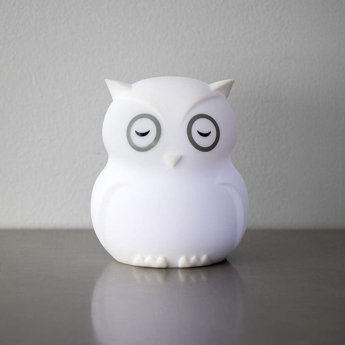 Bblnv - Night Light Owl - Touch And Remote Control
