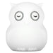 Bblnv - Night Light Owl - Touch And Remote Control